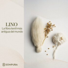 CARISMA15 IMG 0266
