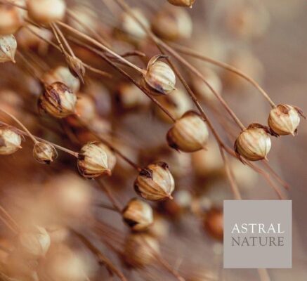 Pack Astral Nature Nerva Full (Colchón+Topper) 15 ALHENA13Lino real