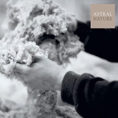 Colchón Astral Nature Nerva Articulated (Artesanal Natural) 10 ARTICULATED NERVA6Artesania bn