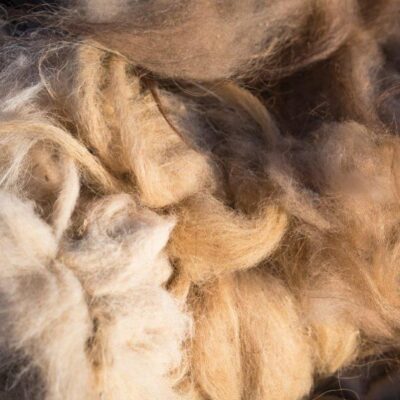 Pack Astral Nature Nerva Full (Colchón+Topper) 12 FIRM NERVA10Camello lana