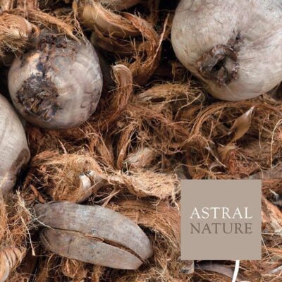 Colchón Astral Nature Nerva Firm (Artesanal Natural) 5 FIRM NERVA12Coco fiber nervafirm