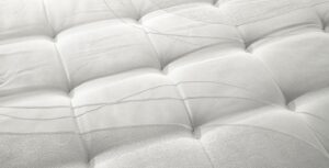 Rebajas 15 Detalle Tapizado Astral Nature Bora