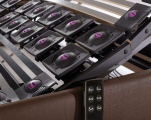 Pack Astral Nature Nerva Articulated Complete (Articulada+Colchón) 4 IMG 1358