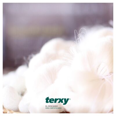 Colchón Terxy Quercus Soft (Artesanal 100% Natural) 9 Quercus Soft 10Seda