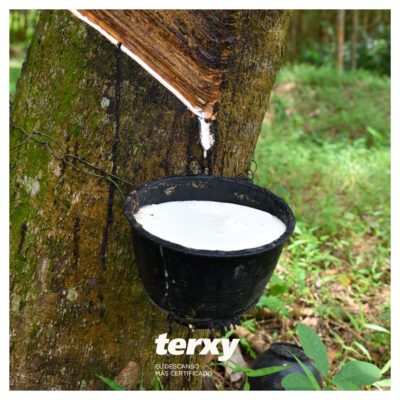 Colchón Terxy Quercus Soft (Artesanal 100% Natural) 13 Quercus Soft 5Latex