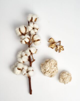 Pack Gobi Duvet Exclusive (Edredón+Topper+ Almohada) 7 Quercus Soft 6Algodon