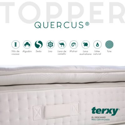 Quercus topper 4 Topper querc caracterist
