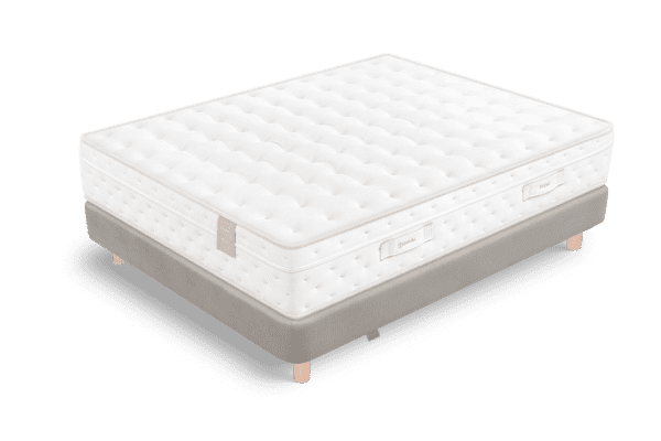 ROYAL19 1990 07 Royall Classic Cler Hamster