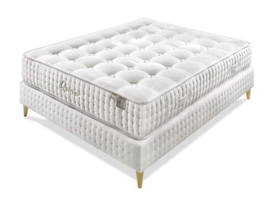 Quercus Punto de vista