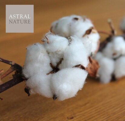 Colchón Astral Nature Bora (Muelle ensacado+Visco) 4 bora7Algodon