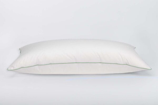 Almohada Gobi Natur (90% Plumón)