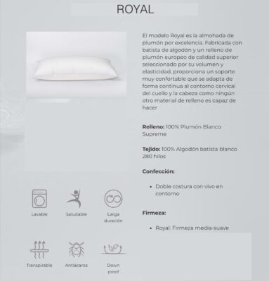 Rebajas 59 royal2 IMG 0672