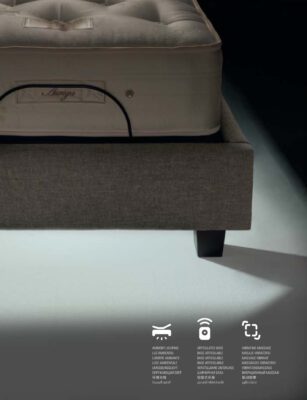 Auriga Superba con luz ambiental