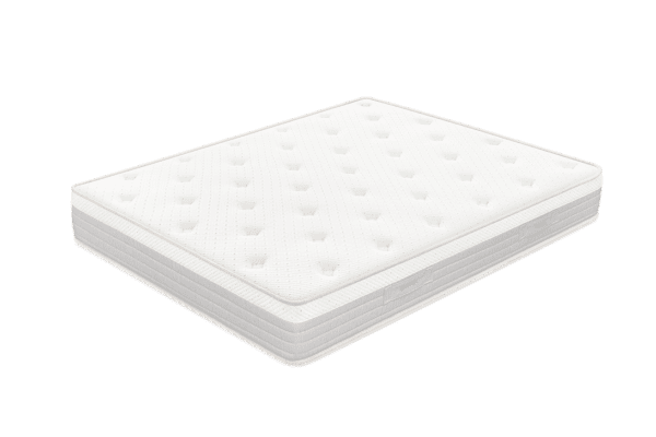 Sonpura Prisma global